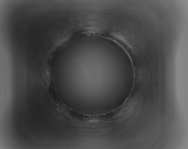 X0000100761399200806261555