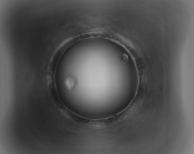 X0000100761400200806261555