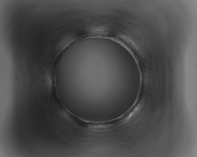 X0000100761401200806261555