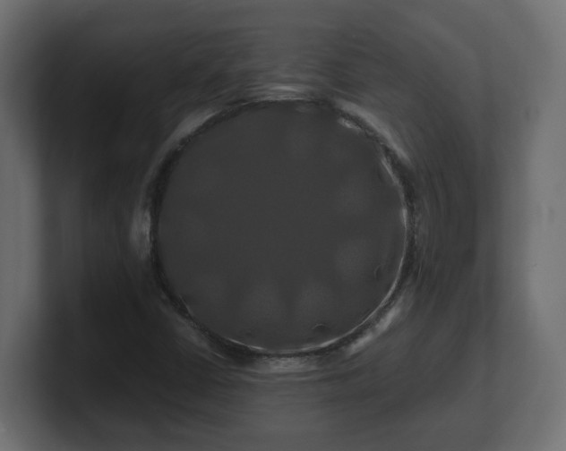 X0000100761402200806261555