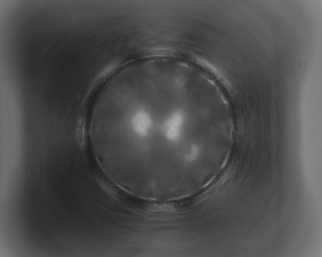 X0000100761403200806261555