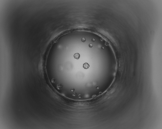 X0000100761404200806261555