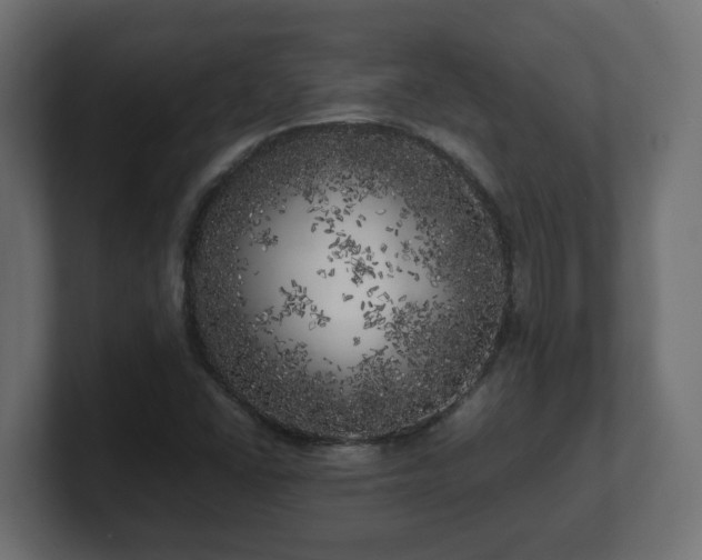 X0000100761406200806261555
