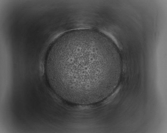 X0000100761407200806261555