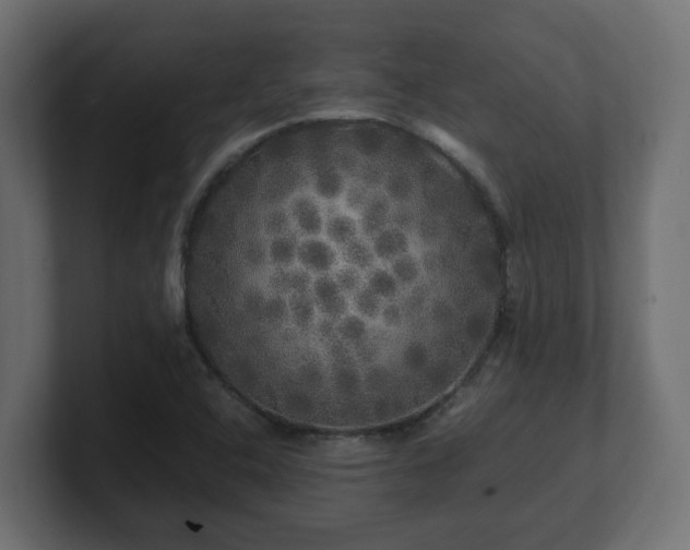 X0000100761408200806261555