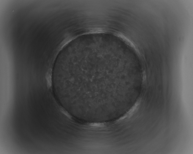 X0000100761409200806261555