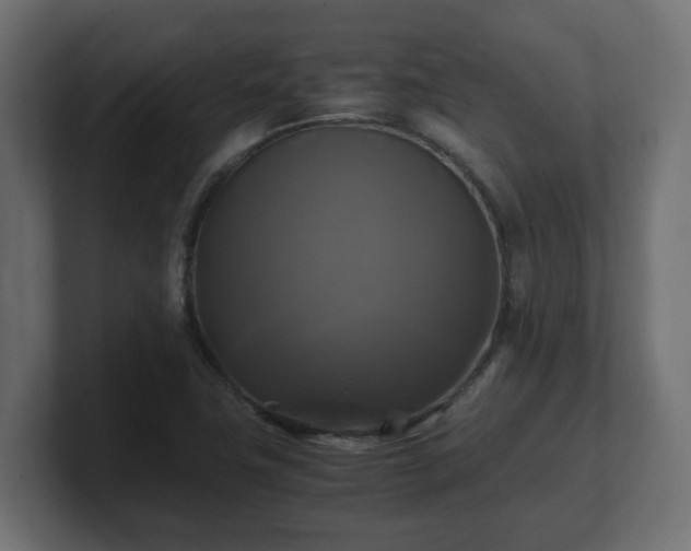 X0000100761411200806261555