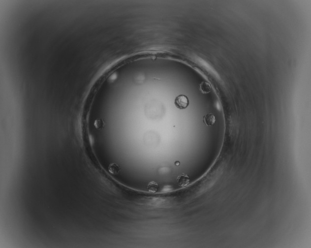 X0000100761412200806261555