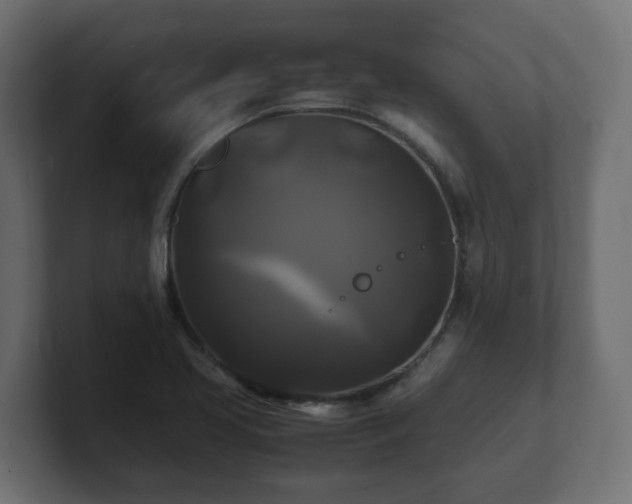 X0000100761413200806261555