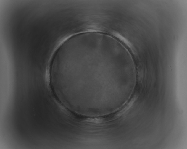 X0000100761415200806261555