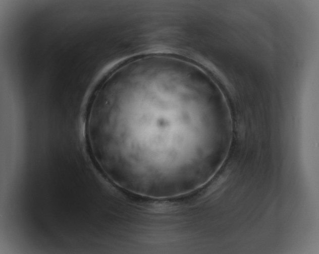 X0000100761416200806261555