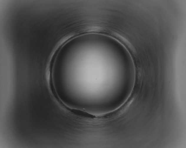 X0000100761418200806261555