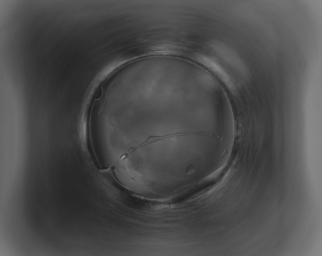 X0000100761419200806261555