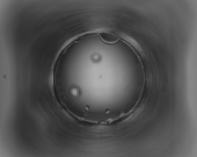 X0000100761420200806261555