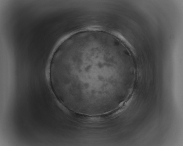 X0000100761421200806261555