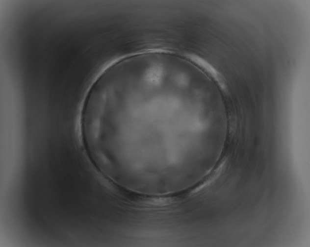 X0000100761423200806261555