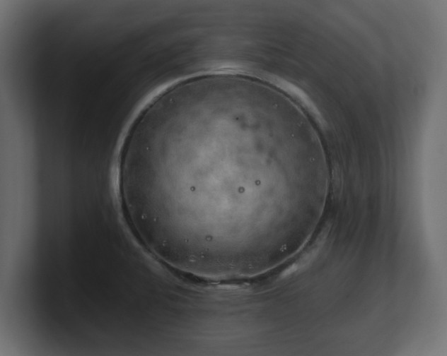 X0000100761424200806261555