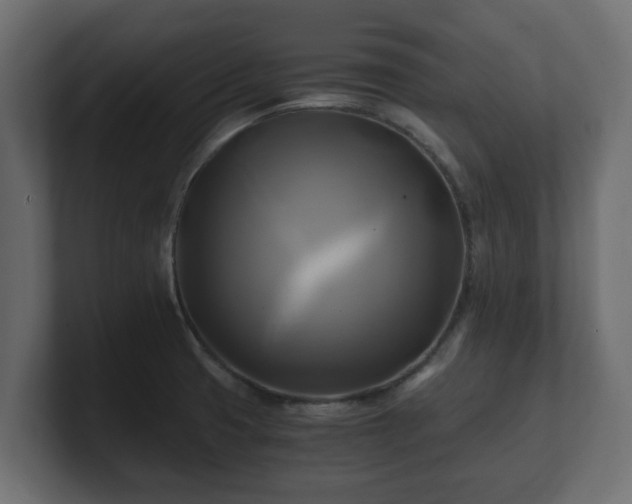 X0000100761425200806261555