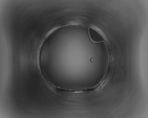 X0000100761427200806261555