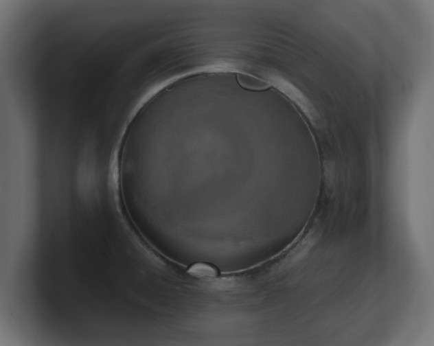 X0000100761428200806261555