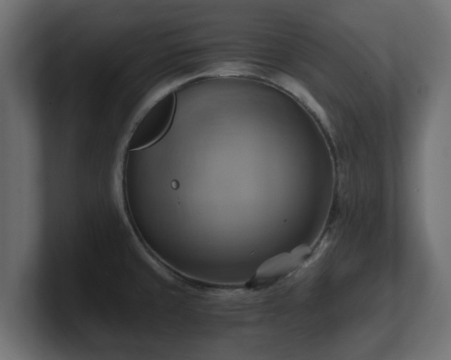 X0000100761429200806261555