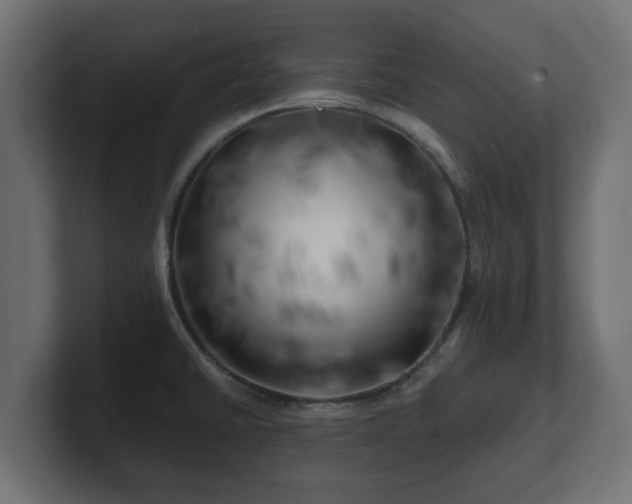 X0000100761430200806261555