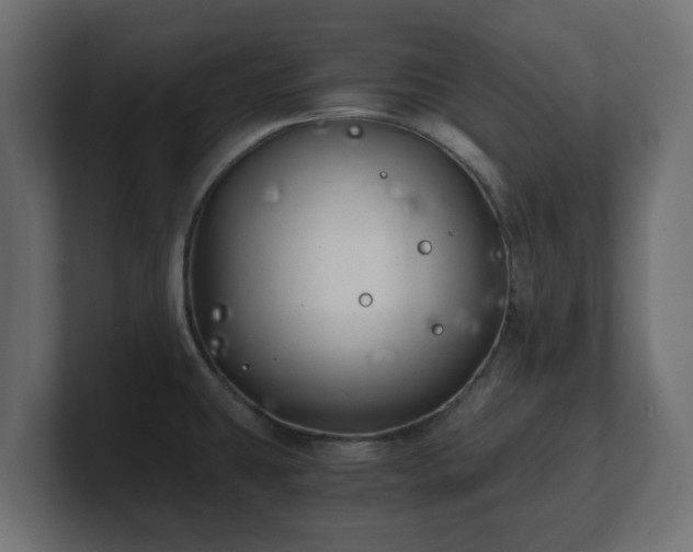 X0000100761431200806261555