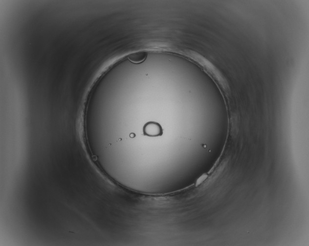 X0000100761432200806261555