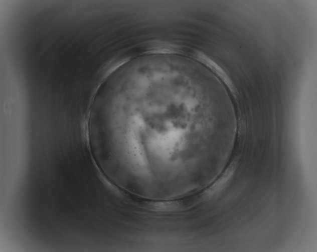 X0000100761433200806261555