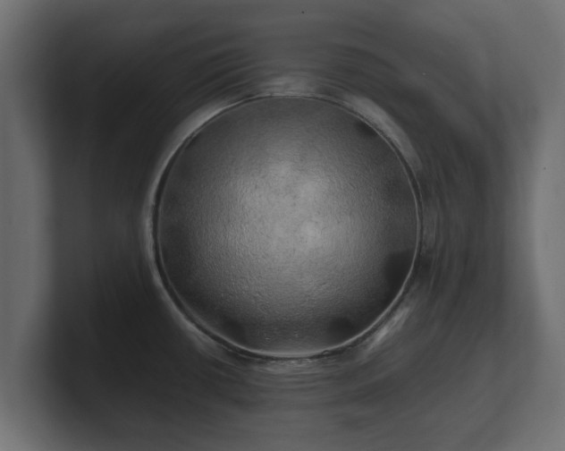 X0000100761434200806261555