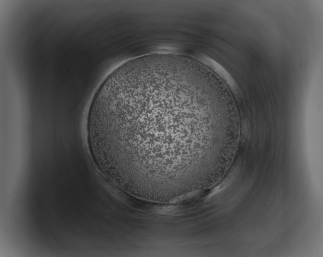 X0000100761435200806261555