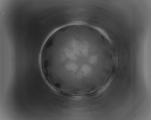 X0000100761438200806261555