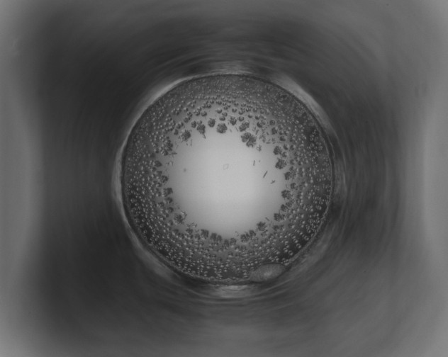 X0000100761439200806261555