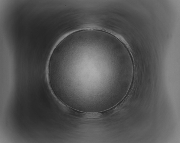 X0000100761440200806261555