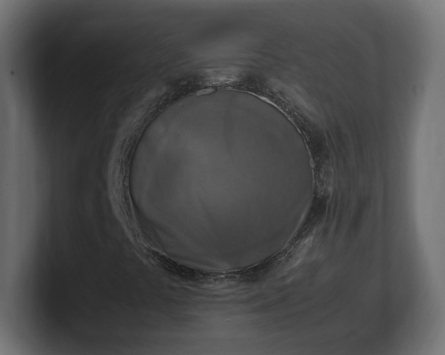 X0000100761441200806261555