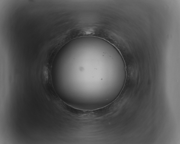 X0000100761442200806261555