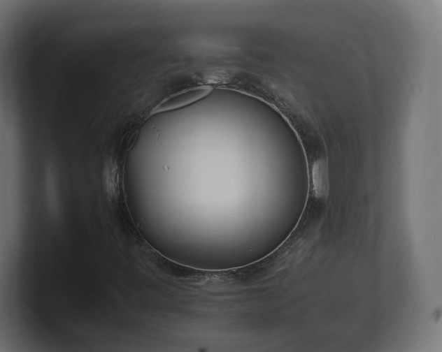 X0000100761443200806261555