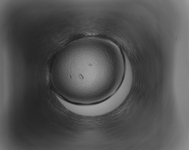 X0000100761444200806261555