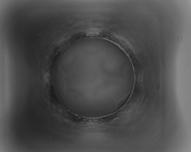 X0000100761445200806261555