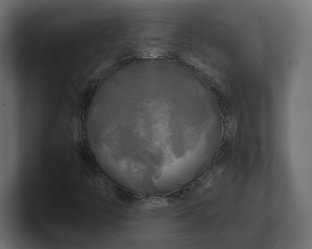 X0000100761446200806261555