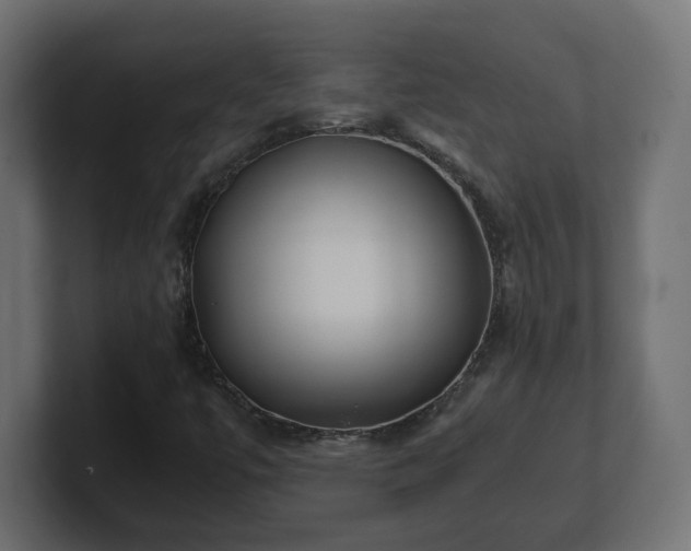 X0000100761447200806261555