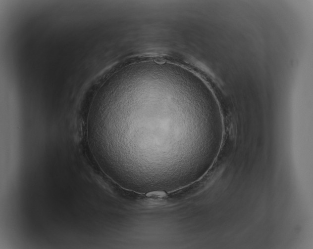 X0000100761448200806261555