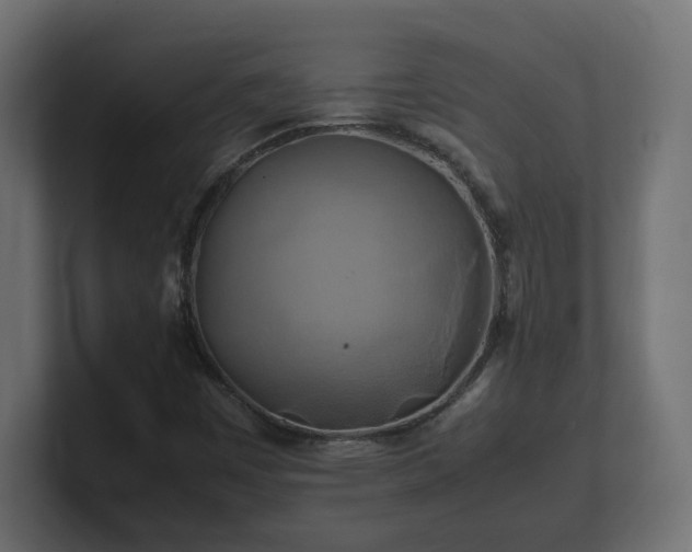 X0000100761449200806261555