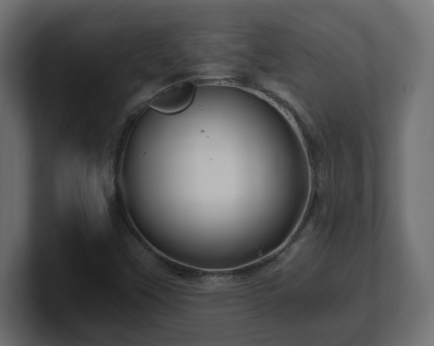 X0000100761451200806261554