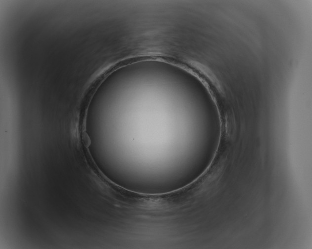 X0000100761452200806261554