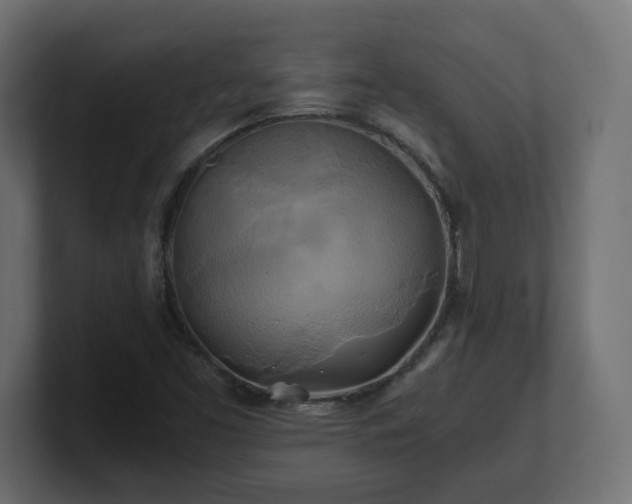 X0000100761453200806261554