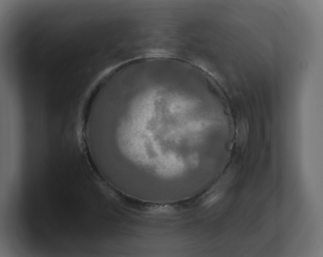 X0000100761454200806261554