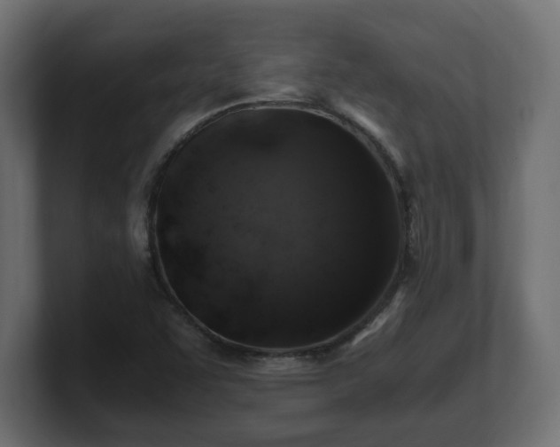 X0000100761455200806261554