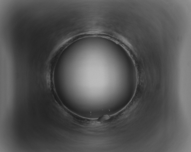 X0000100761456200806261554