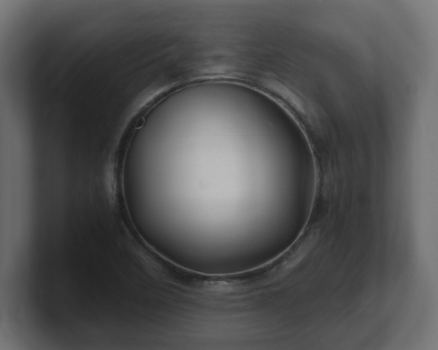 X0000100761458200806261554